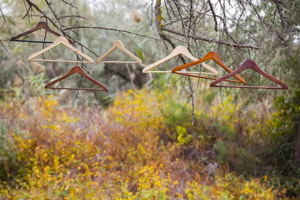 Ahşap Askı Sonbahar Orman Arka Plan — Stok fotoğraf