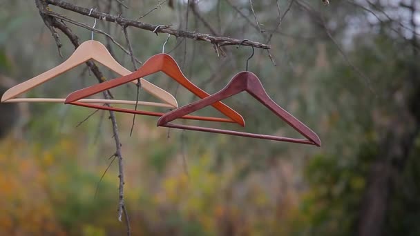 木製ハンガー秋の森の背景 — ストック動画