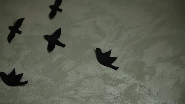 Papier Oiseau Mur Pointu Fond — Video
