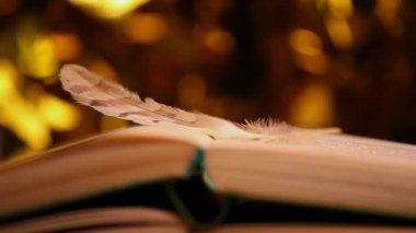 Tüy kitabı rüzgar altın bokeh 