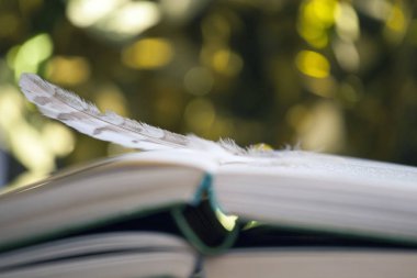 Tüy kitabı rüzgar altın bokeh 