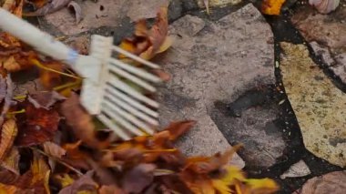 tırmıkla sonbahar yaprağı taşı arka plan HD görüntüleri 