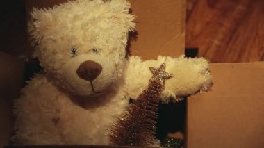 Yün ayı minyatür köknar ağacı karton kutu