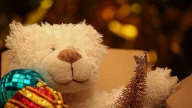 Yün ayı minyatür köknar ağacı karton kutu altın bokeh hd görüntü 
