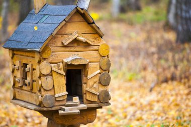 Kuş yuvası sonbahar ormanı arka planı