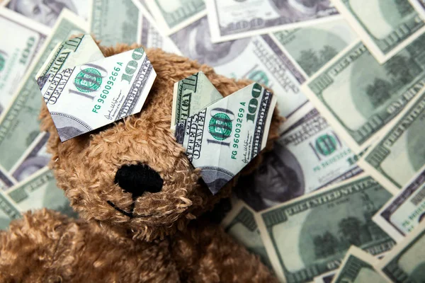 image of toy bear money background