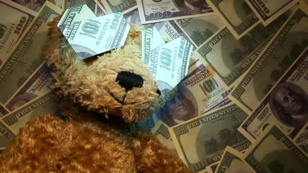 Footage Toy Bear Money Background — Stock Video