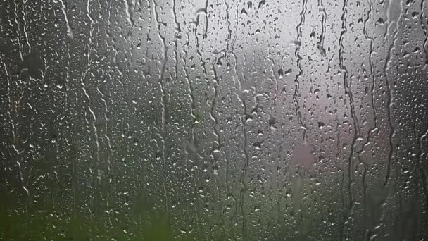 Pencere Yağmur Damlası Görüntüleri — Stok video