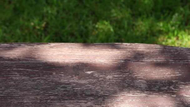 Footage of wooden desk tree shadow — Stock Footage Footage Wooden Desk Tree Shadow Video Clip