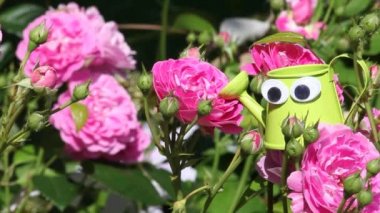 Su kutusu görüntüsü 