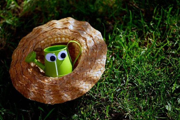 Imagen Agua Puede Sombrero Hierba Fondo — Foto de Stock