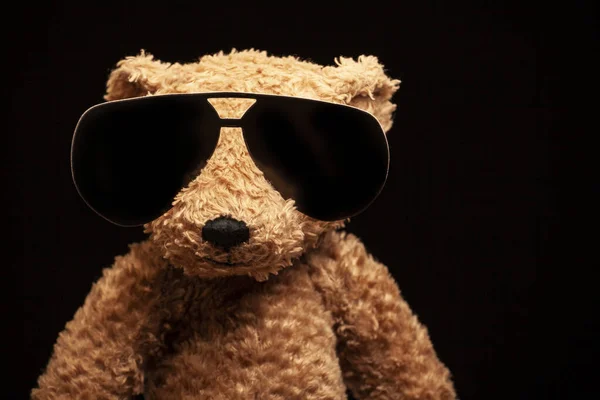 Obrázek Medvídka Slunečních Brýlí — Stock fotografie