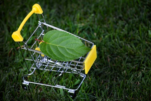 Image Fond Herbe Feuille Chariot — Photo