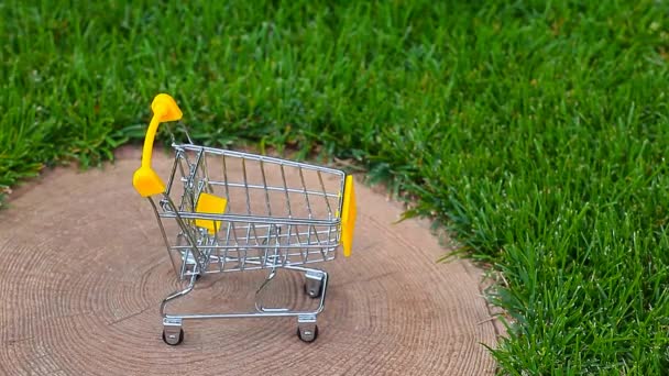 Footage Trolley Leaf Stub Grass Background — Stock Video