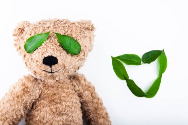 Ayı yaprağı beyaz arkaplan resmi