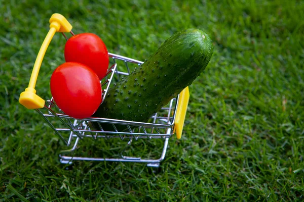 Image Fond Herbe Légumes Chariot — Photo