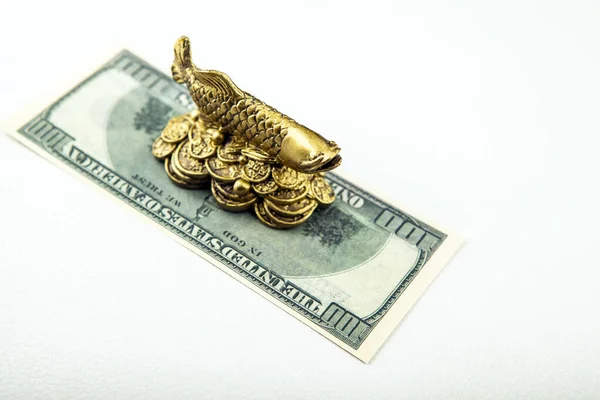 image of fish money white background