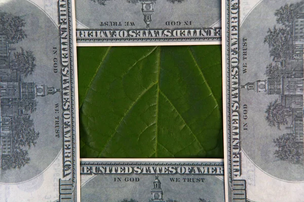 Image Money Leaf Background — Stock Photo, Image