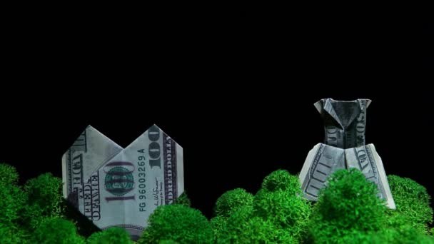 钱的镜头苔藓的黑暗背景 — 图库视频影像