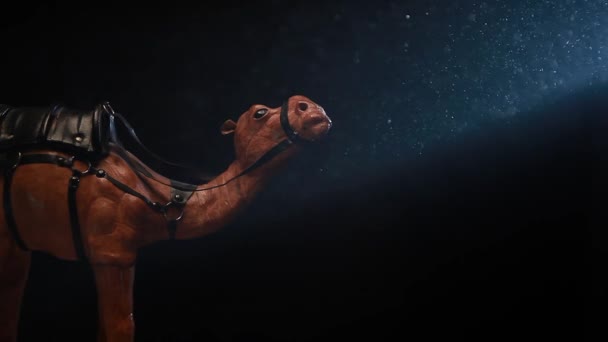 ラクダのほこりの暗い背景の映像 — ストック動画