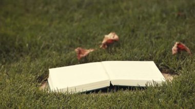 Kitap çim arkaplanının görüntüleri 