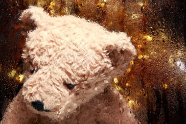 Pencere yağmuru oyuncak ayısının görüntüsü