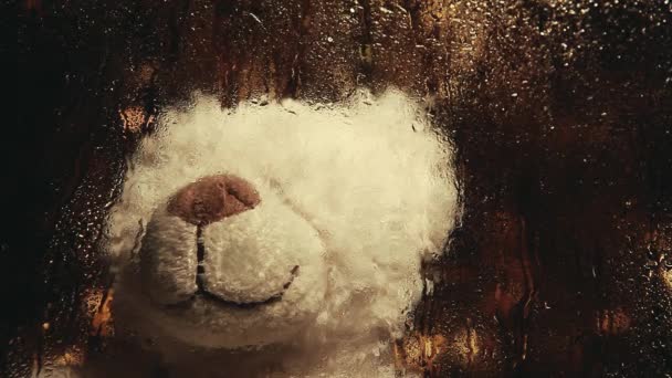 毛绒熊滴水的镜头 — 图库视频影像