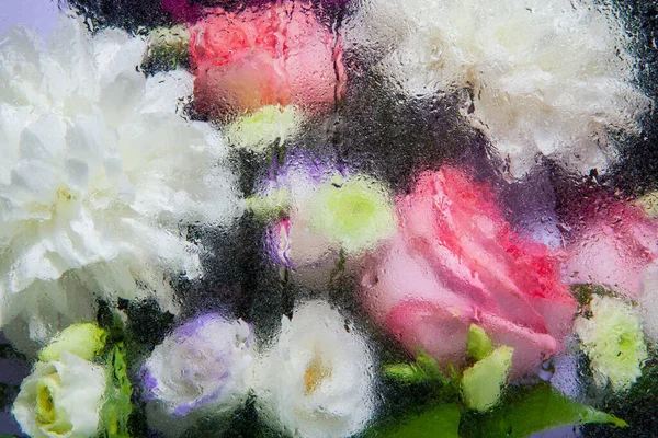 Çiçek suyu damlası görüntüsü 