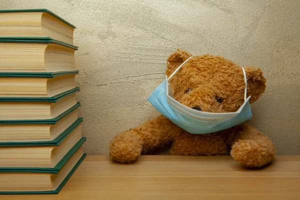 image of plush bear book
