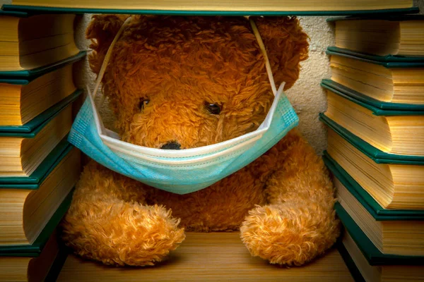 Obrázek Plyšové Medvědí Knihy — Stock fotografie