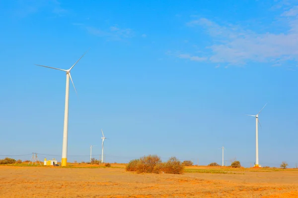 Image Wind Electricity Field — Stock Photo, Image