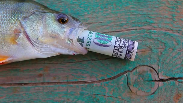 Balık Para Banknotunun Görüntüleri — Stok video