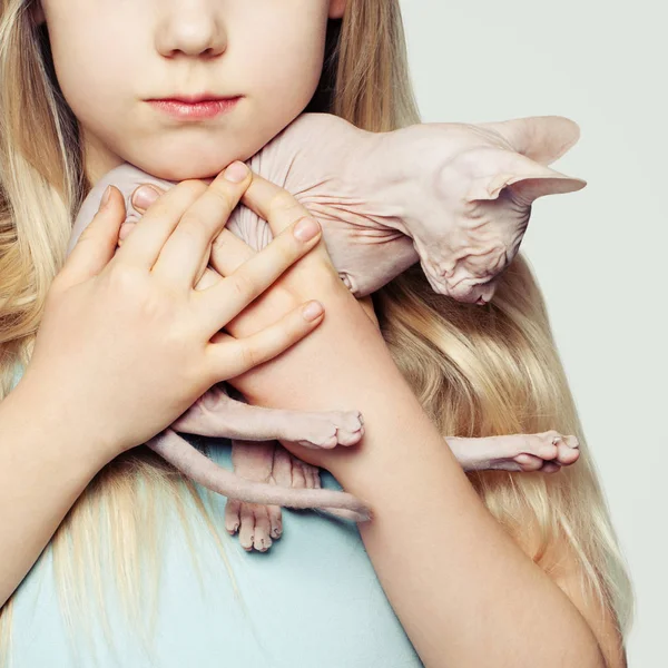 Kitten Female Hands Child Pet — Stock Photo, Image