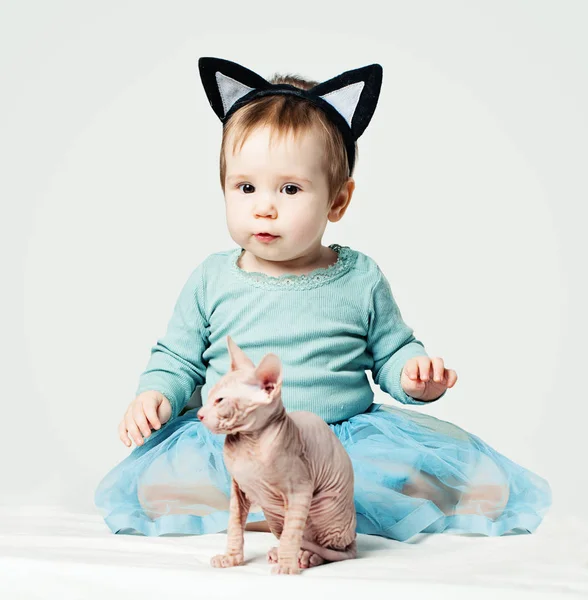 Attractive Baby Girl Cat White — Stock Photo, Image