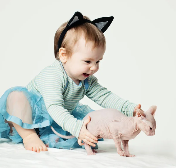 Cute Baby Girl Kitten Child Pet — Stock Photo, Image