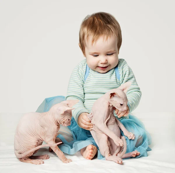 Small Child Girl Playing Pets — Stock Photo, Image