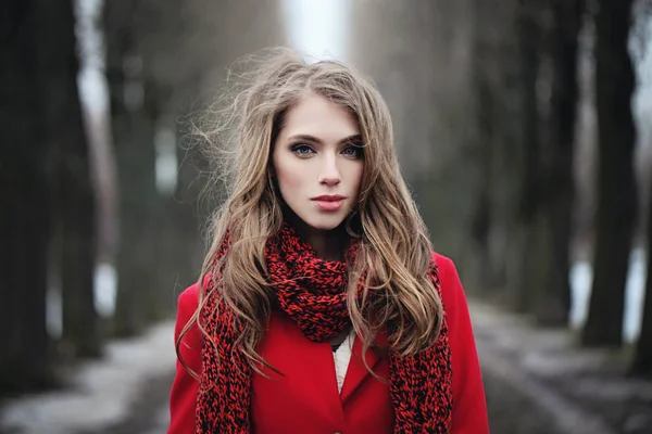 美丽的妇女在红色围巾在冷的冬天公园 完美的女孩在户外长棕色头发 — 图库照片