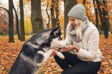 Sevimli kadın ve köpek husky açık portre. Köpek eğitim