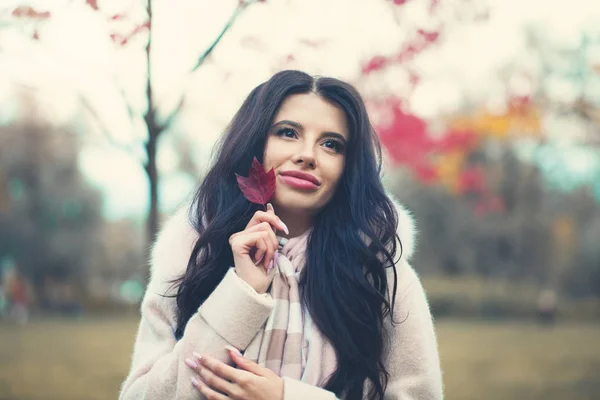 Retrato Mulher Outono Modelo Feminino Perfeito Com Folha Bordo Vermelho — Fotografia de Stock