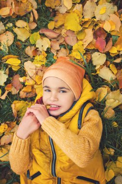 Üstten görünüm şirin küçük çocuk çocuk gülümseyen çimenlerin üzerinde yatarken ve sonbahar yaprakları, portre