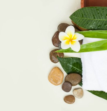 Taşlar, çiçekler, beyaz zemin üzerine masaj tedavisi için yaprak üstten görünüm.