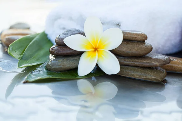 spa concept with stones, flowera and leaves for massage treatment on white background