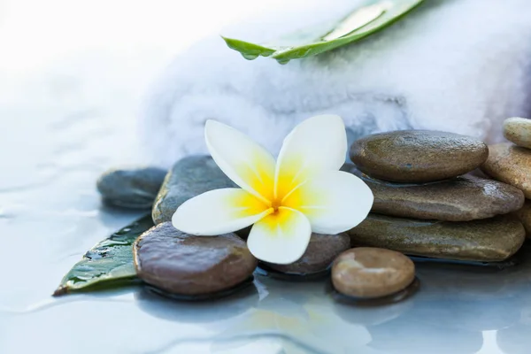 Flower and stones for massage treatment on white background.