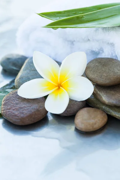 Spa Flower and stones for massage treatment on white background.