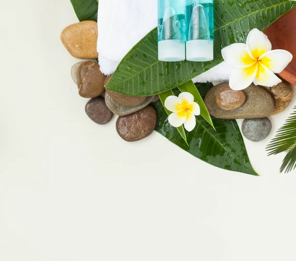 Wellness Met Groene Bladeren Stenen Bloemen Cosmetica Witte Achtergrond — Stockfoto