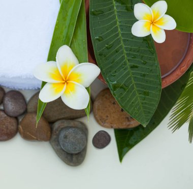 Spa nesne ve arka plan kopya alanı ile masaj tedavi için taş üstten görünüm.