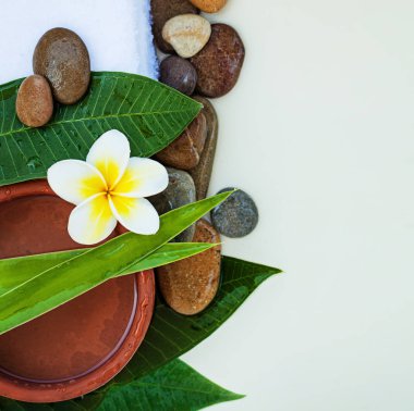 Güzellik ve spa beyaz rustik arka plan ayarla