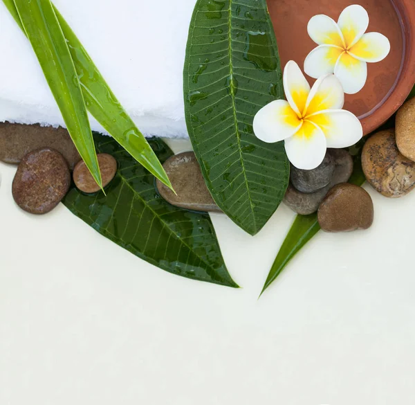 Draufsicht Wellness Hintergrund Mit Grünen Blättern Blumen — Stockfoto