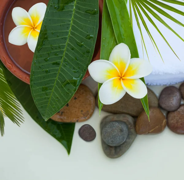 Fondo Spa Con Hojas Verdes Flores Cosméticos —  Fotos de Stock