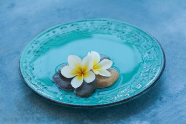 Spa nesneler üzerinde mavi arka plan ile plaka.